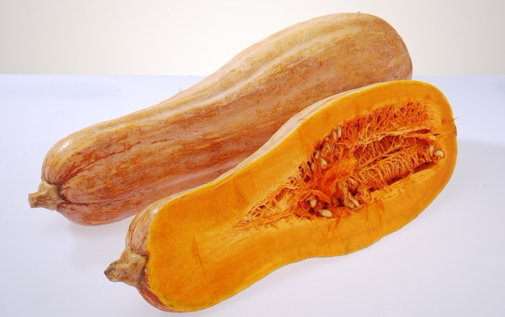 南瓜营养价值剖析+-+搜食网